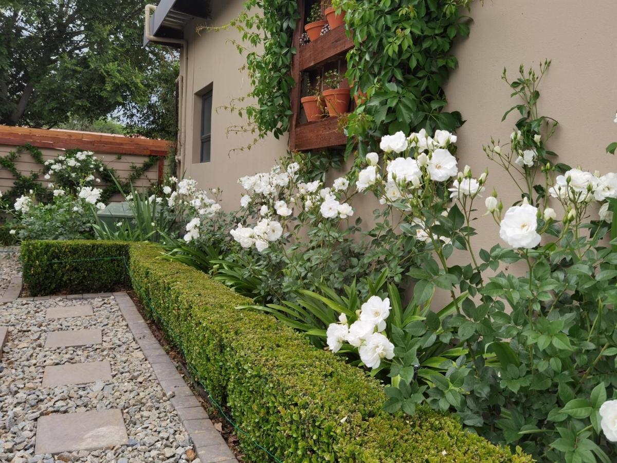 Bella Rosa Bed & Breakfast Potchefstroom Exterior photo